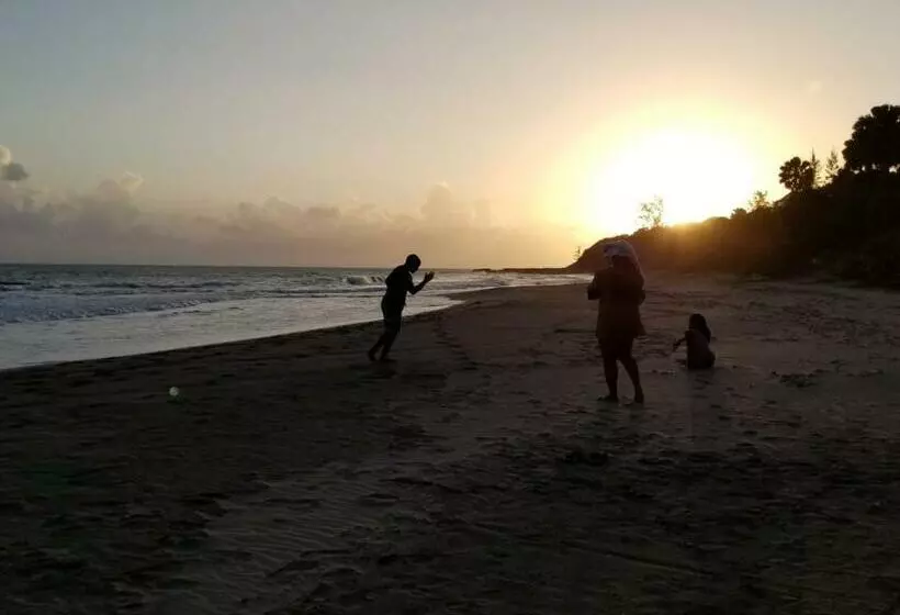 هتل Treasure Beach