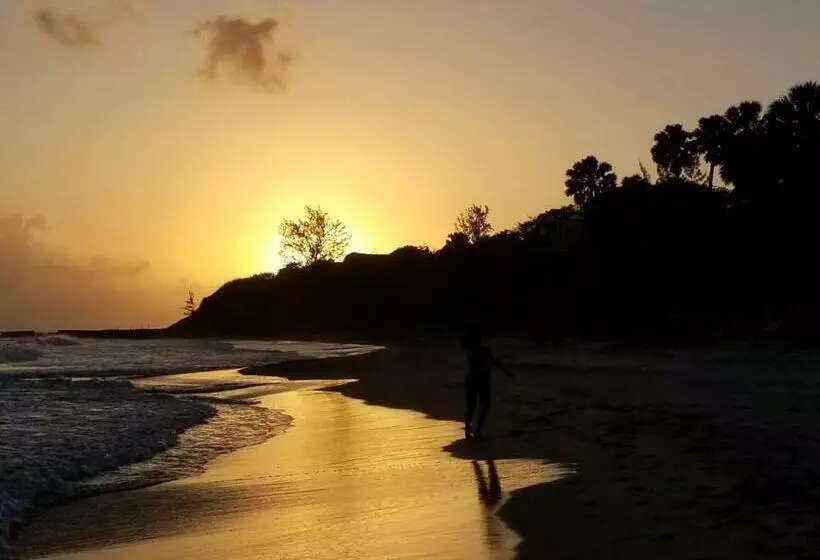 هتل Treasure Beach