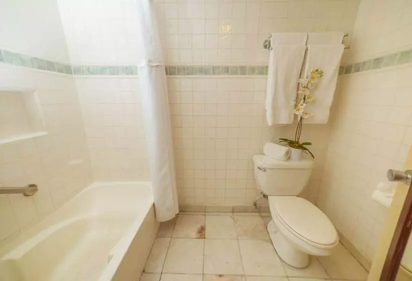 Estero Beach Hotel & Resort