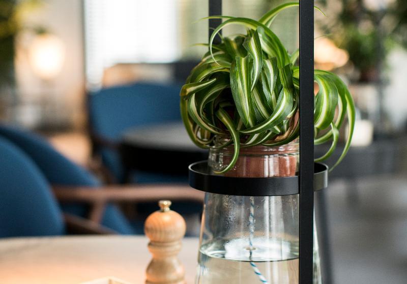 The Lancaster Hotel Amsterdam