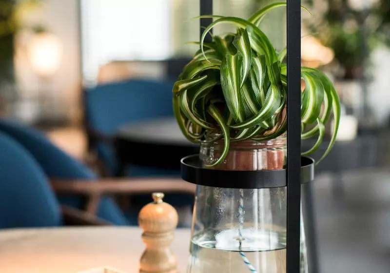 The Lancaster Hotel Amsterdam