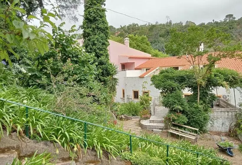 בית מלון כפרי Albergaria Do Lageado