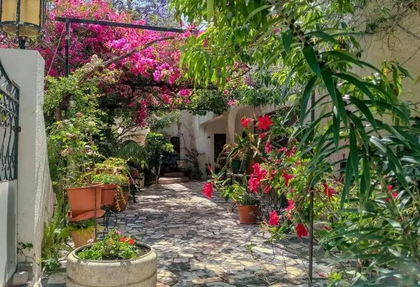 בית מלון כפרי Albergaria Do Lageado