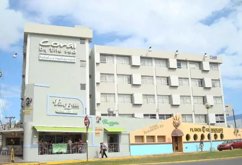 هتل Coral By The Sea