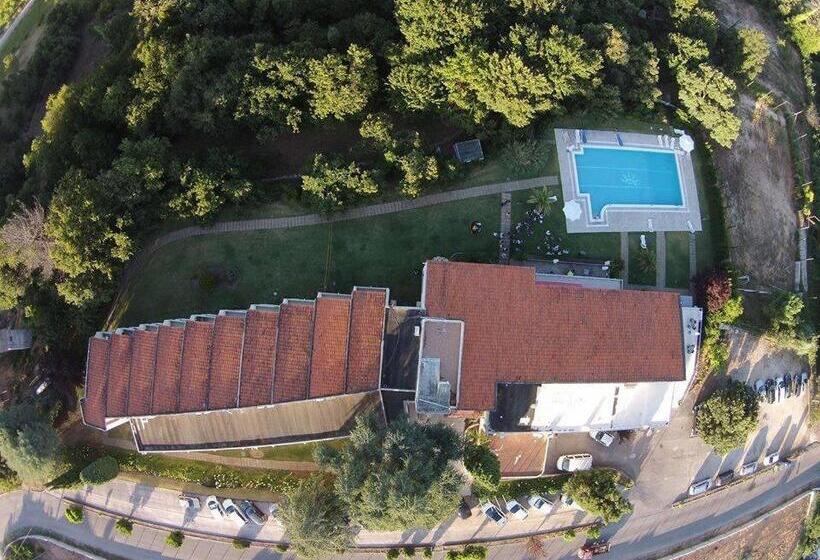 Отель Estalagem De Sangalhos