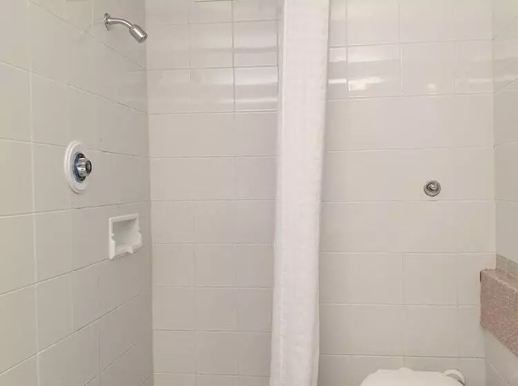 ホテル Picton Yacht Club