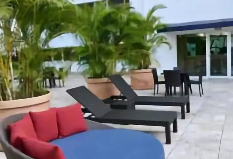 호텔 The Executive