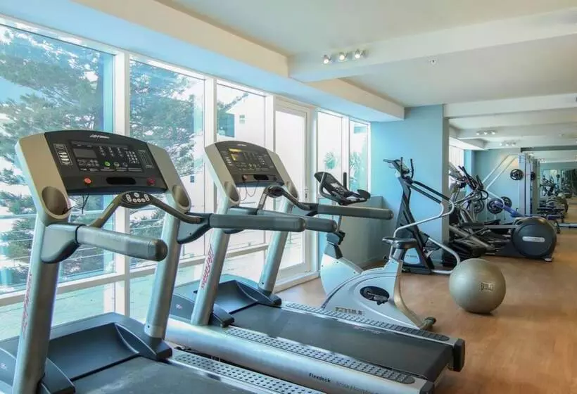 호텔 The Executive