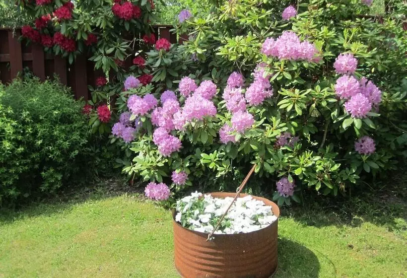 בית מלון כפרי Lilton