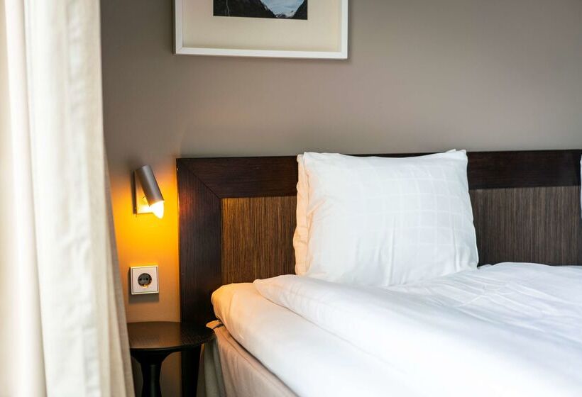 هتل Scandic Anglais