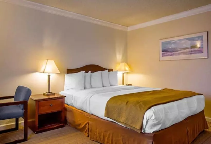 فندق Arbor Inn Monterey