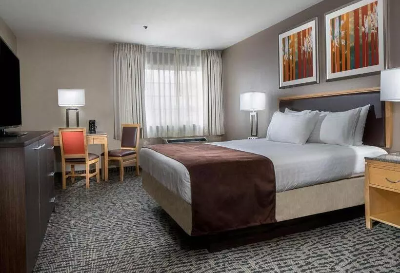 ホテル Arizona Charlie S Decatur