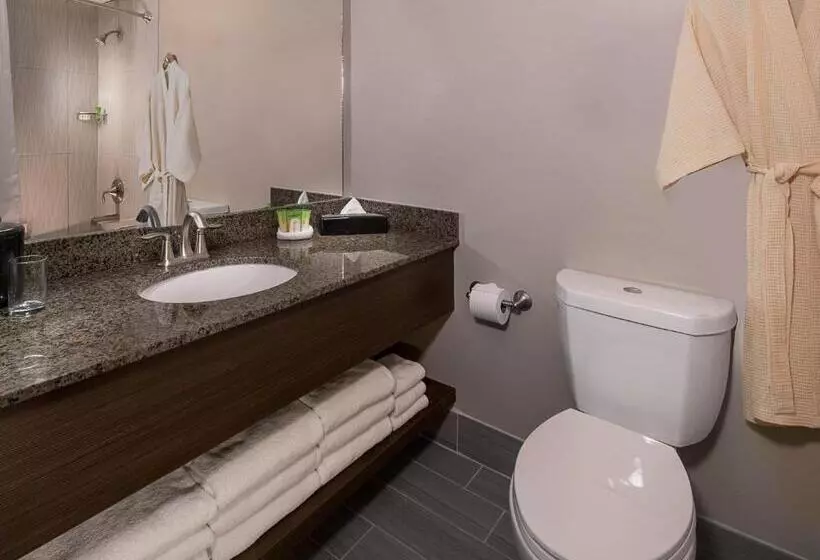 ホテル Arizona Charlie S Decatur