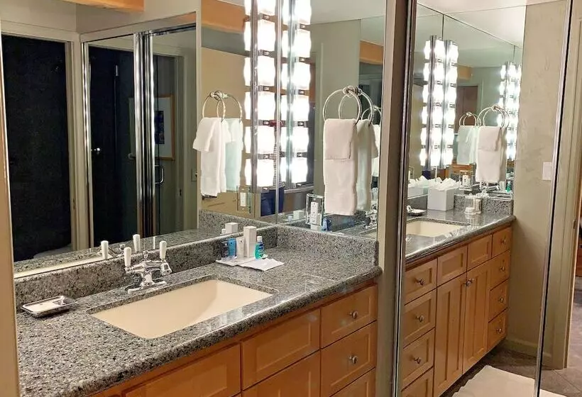 Hotel Aspen Square Condominium