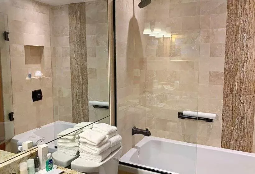 Hotel Aspen Square Condominium