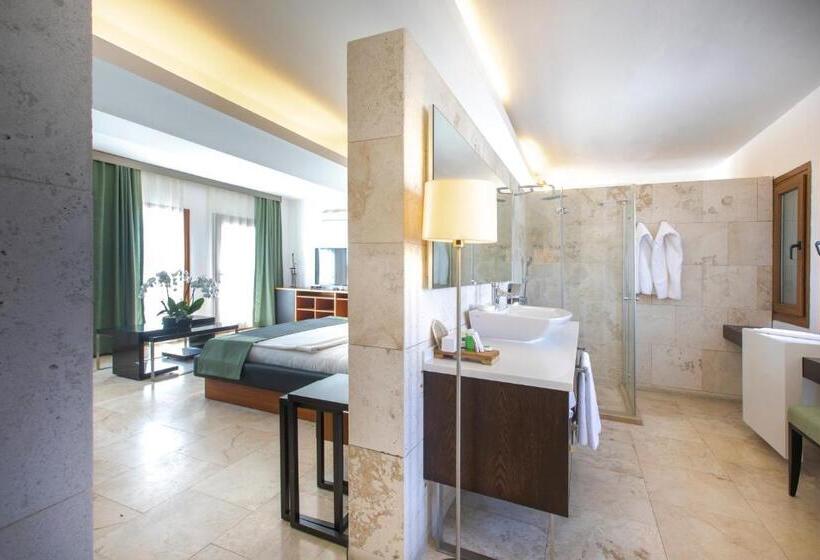 Hotel Magna Manastir