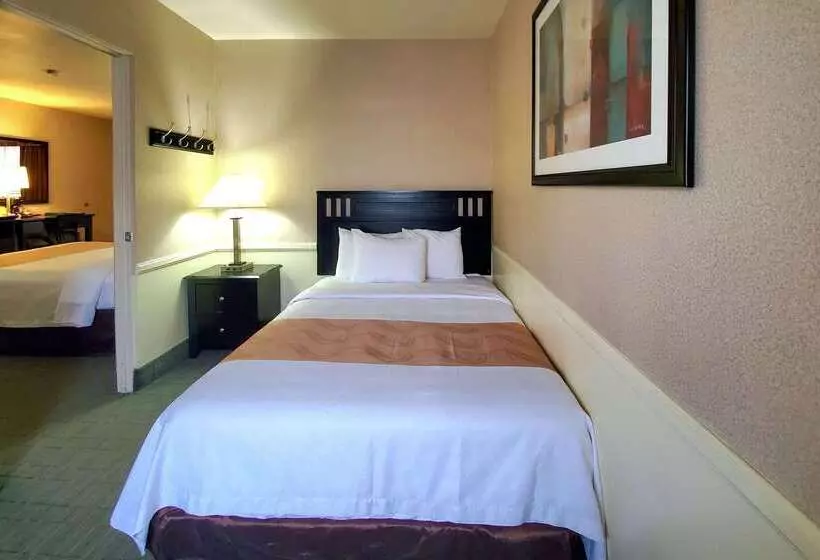 فندق Quality Inn & Suites Anaheim At The Park