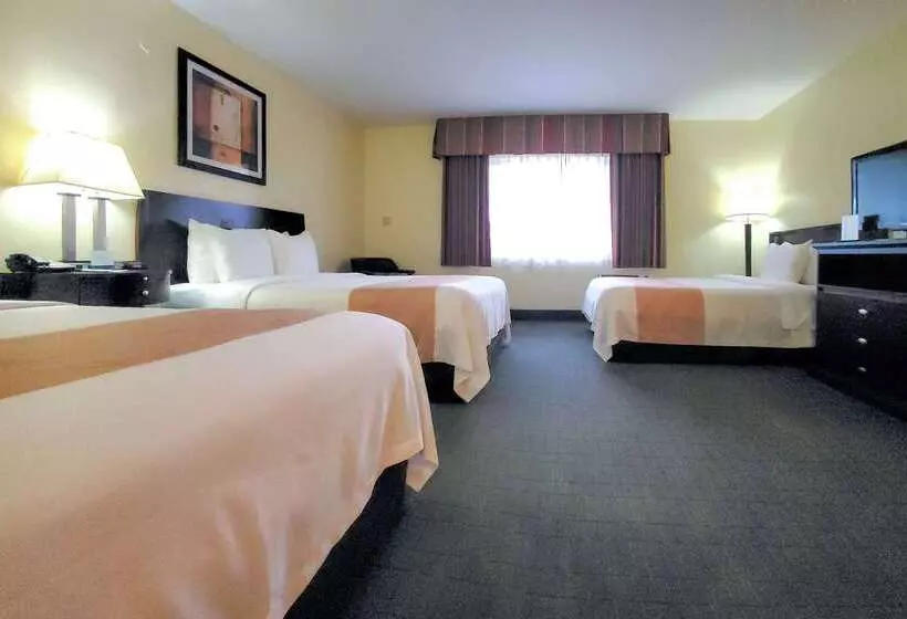 فندق Quality Inn & Suites Anaheim At The Park