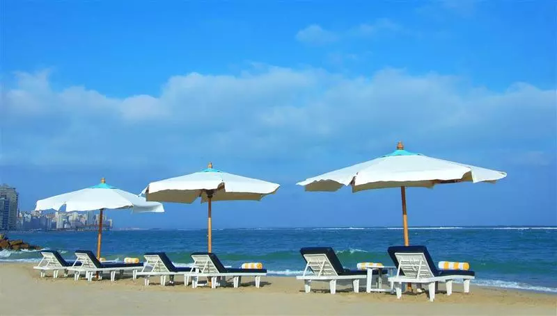 ホテル Sheraton Montazah