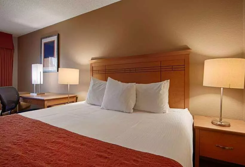 酒店 Best Western Aladdin Inn