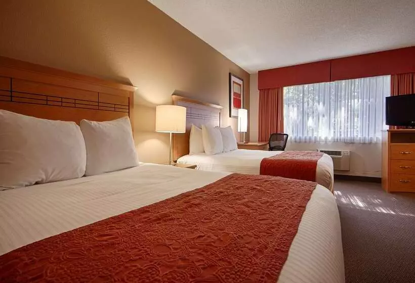 酒店 Best Western Aladdin Inn