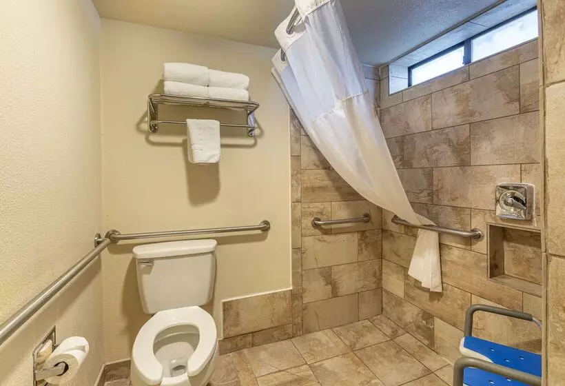 فندق Best Western Arizonian Inn