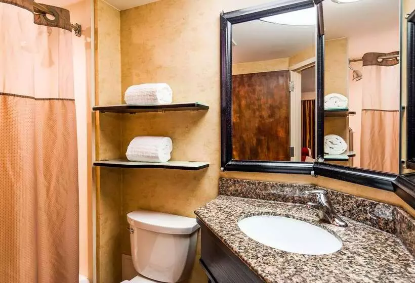 فندق Best Western Bar Harbour Inn