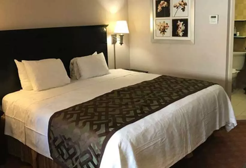 فندق Best Western Bar Harbour Inn