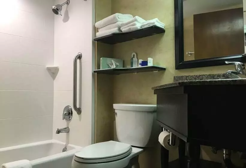 فندق Best Western Bar Harbour Inn