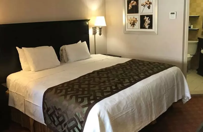 فندق Best Western Bar Harbour Inn