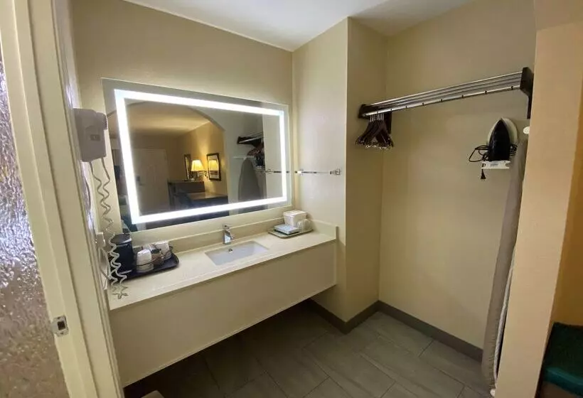 酒店 Best Western Catalina Inn