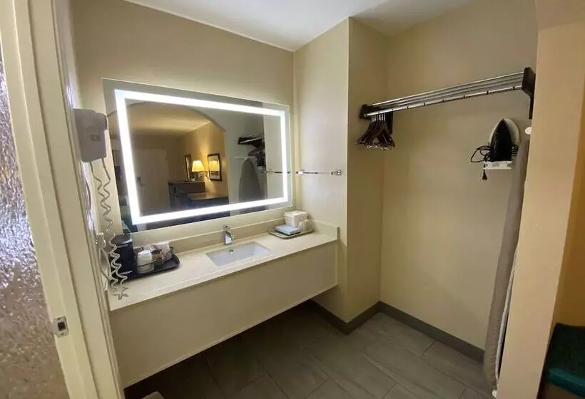 酒店 Best Western Catalina Inn