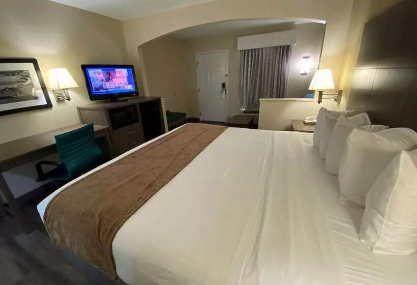 酒店 Best Western Catalina Inn