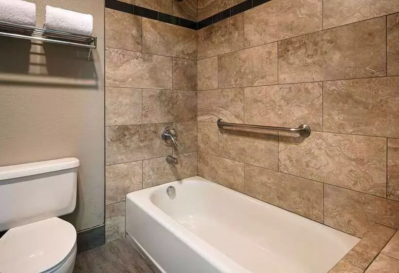 酒店 Best Western Desert Villa Inn