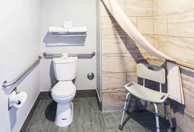 酒店 Best Western Desert Villa Inn