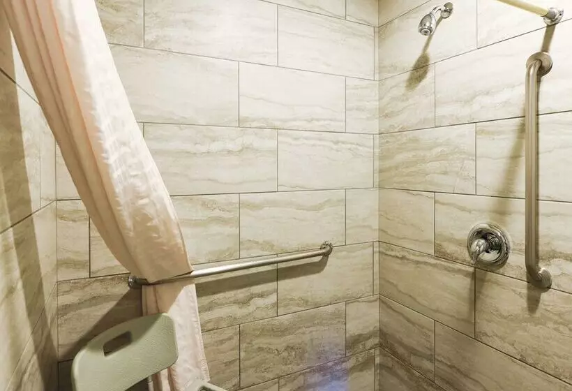 酒店 Best Western Desert Villa Inn