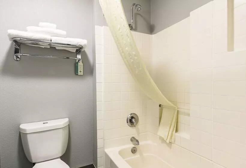 酒店 Best Western Desert Villa Inn