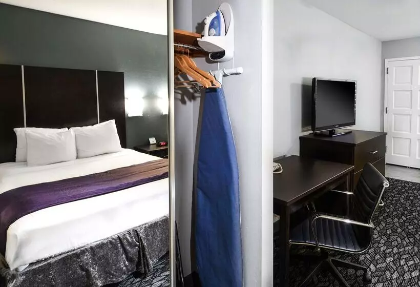 酒店 Best Western Desert Villa Inn