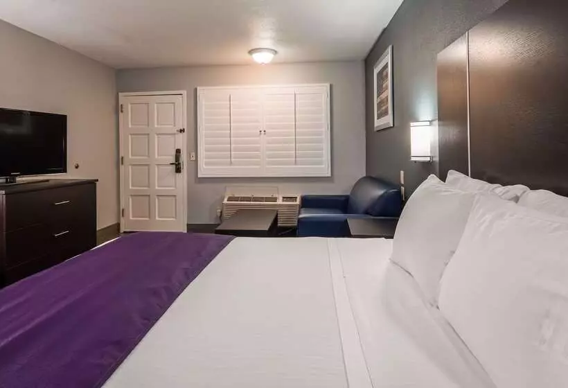 酒店 Best Western Desert Villa Inn