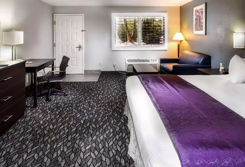 酒店 Best Western Desert Villa Inn