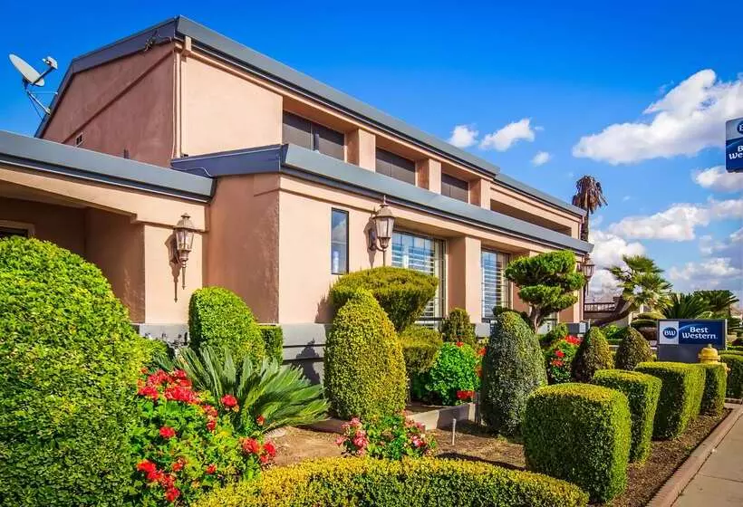 فندق Best Western Inn