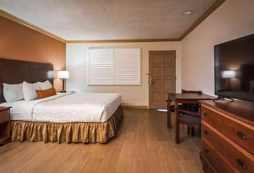 فندق Best Western Inn