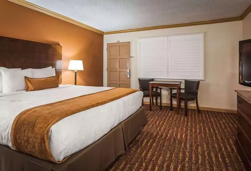 فندق Best Western Inn
