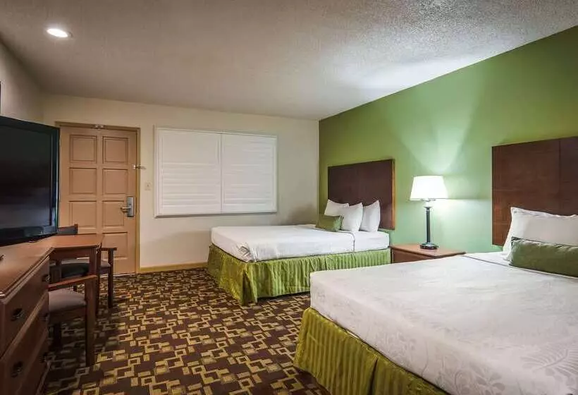 فندق Best Western Inn