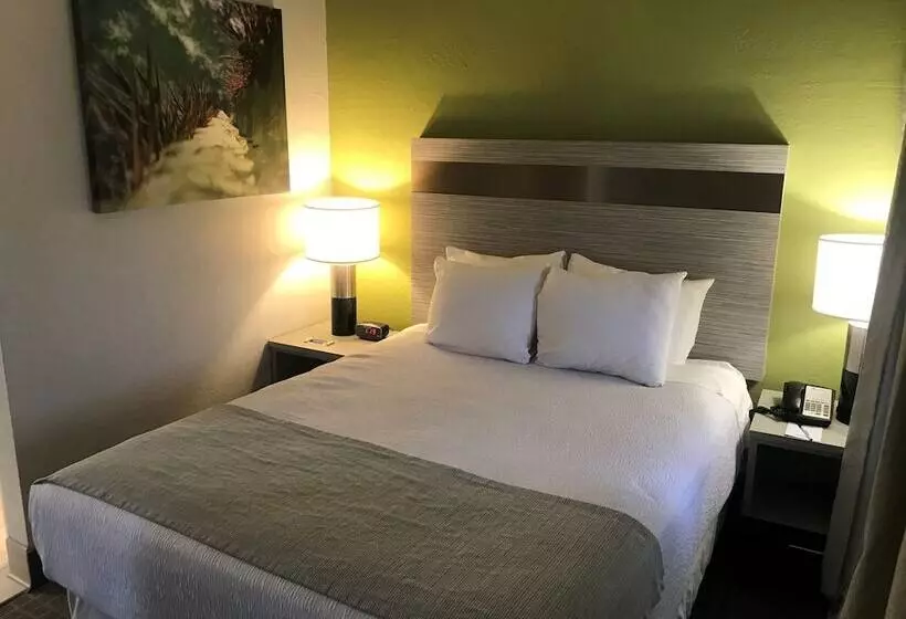 Best Western Innsuites Phoenix Hotel & Suites