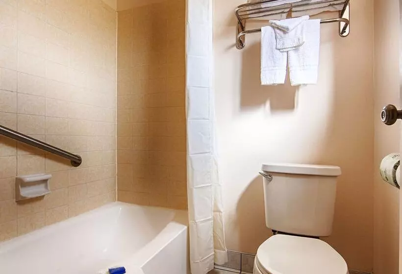 Отель Best Western Paradise Inn