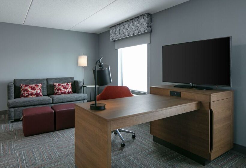 فندق Hampton Inn Dubuque