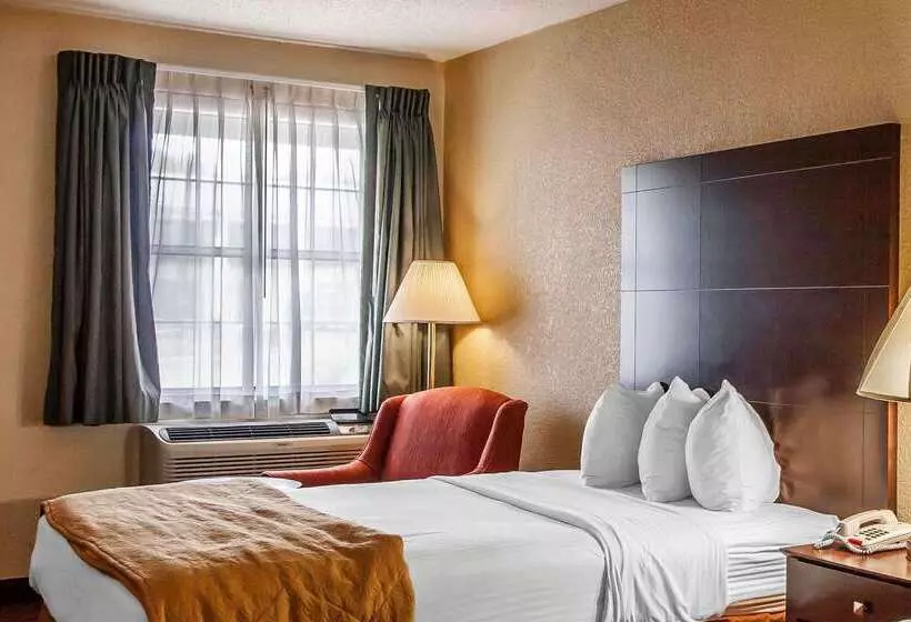 فندق Quality Inn & Suites