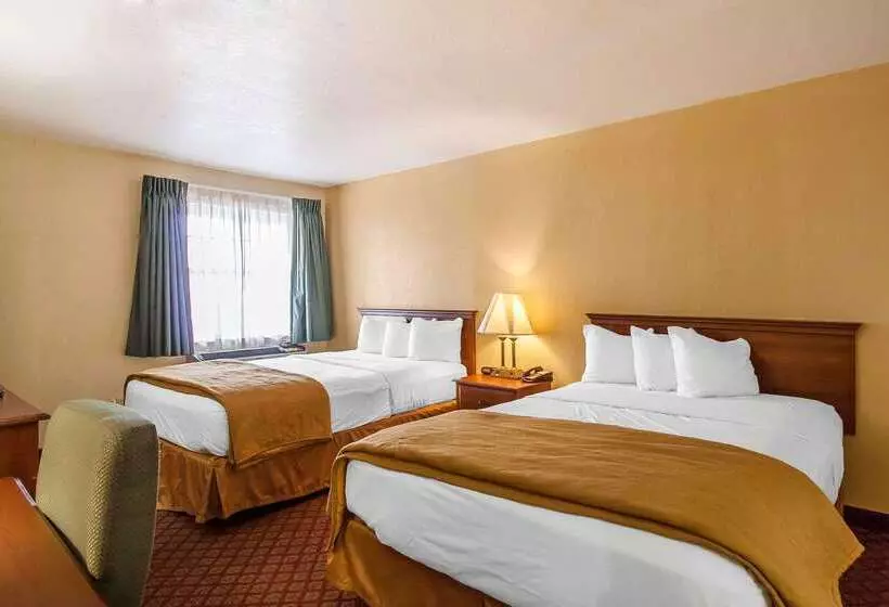 فندق Quality Inn & Suites