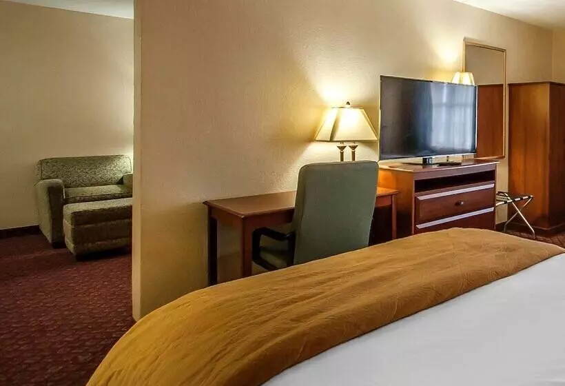 فندق Quality Inn & Suites